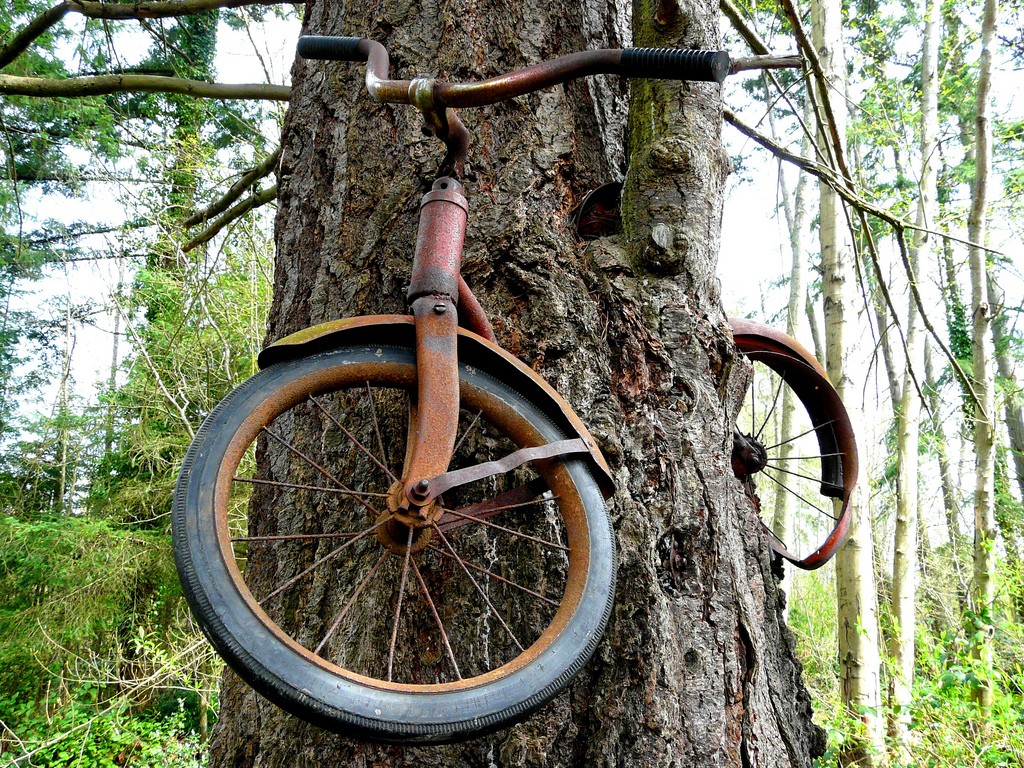 The Bike Tree