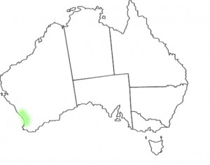 Caladenia arenicola map