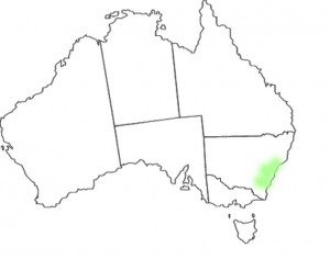 Telopea speciosissima map