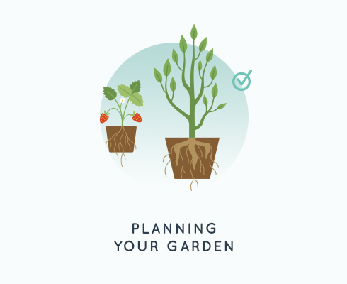 Topic Image for Planning Your Garden