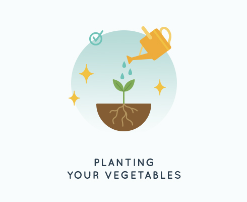 Topic Image for "Planting Your Vegetables"