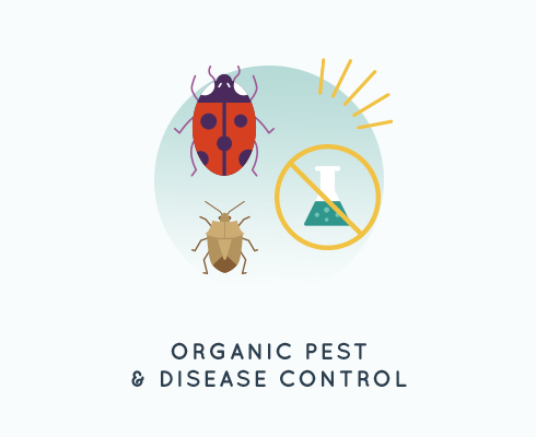 Topic Image for "Organic Pest & Disease Control"
