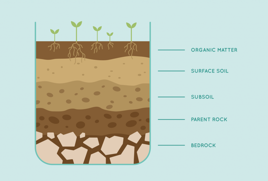 Different layers of soil