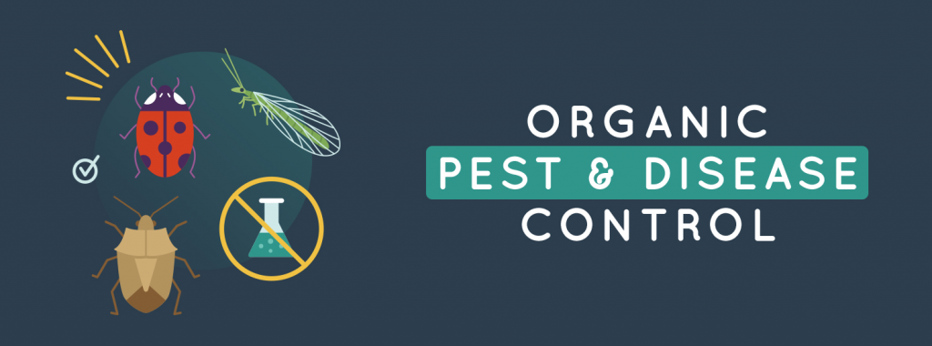 Organic Pest and Disease Control Graphic