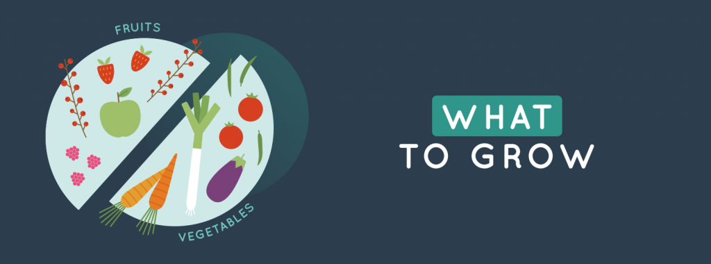What to grow: Different types of fruits and vegetables graphic